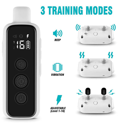 Waterproof Remote Training Collar for Two Dogs