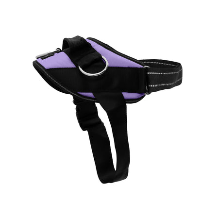 No-Pull Padded Dog Harness with 3 Leash Clips