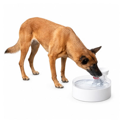 Pumpless 128 oz Pet Water Fountain for Dogs & Cats