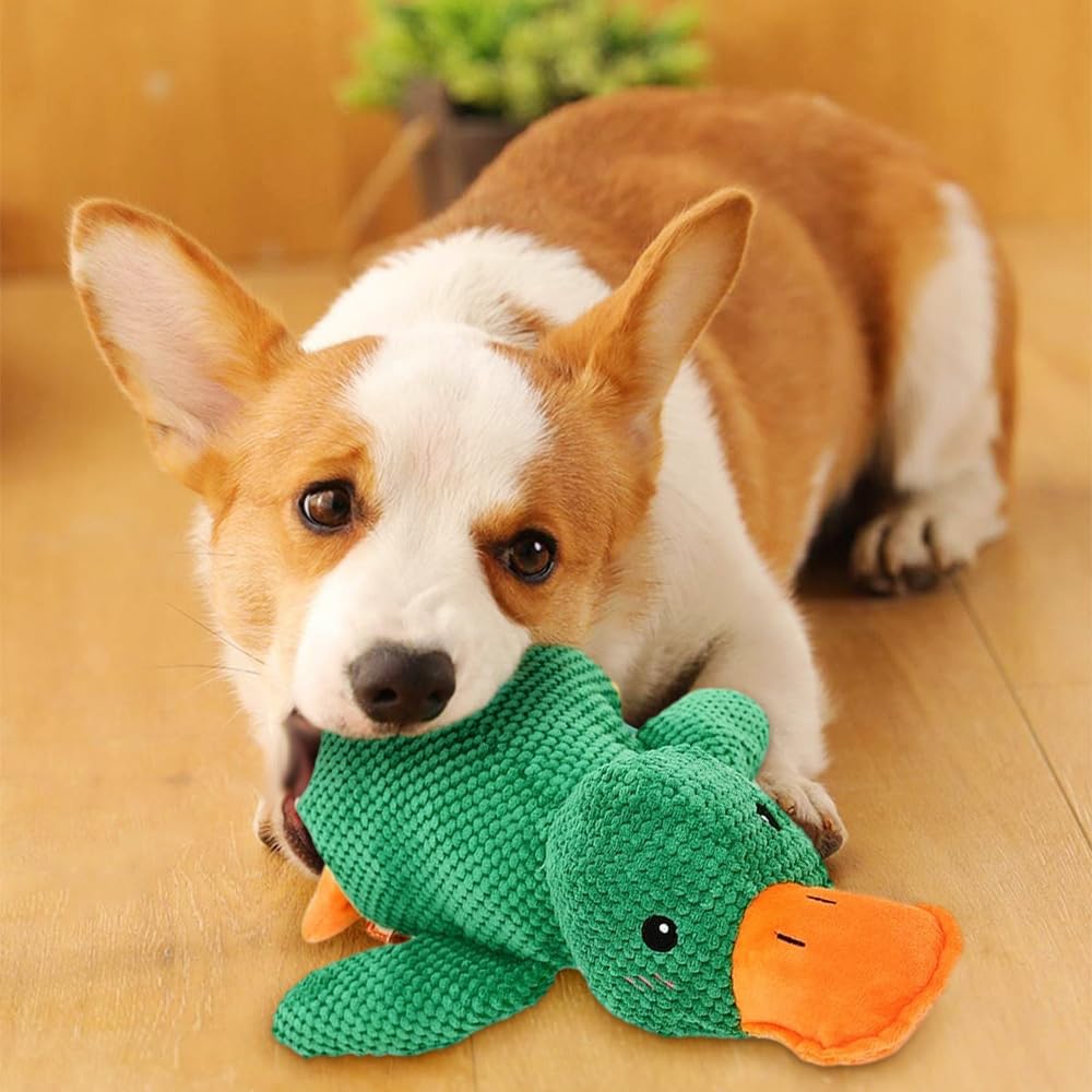 Squeaky Plush Duck Dog Toy with Built-In Sound
