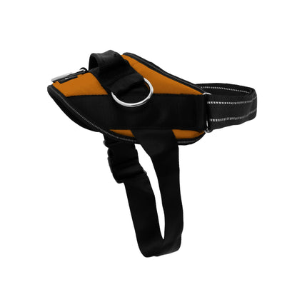 No-Pull Padded Dog Harness with 3 Leash Clips