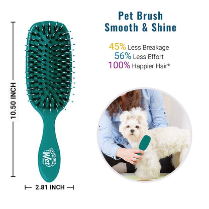 Pet Detangling Brush for Smooth Coat Care