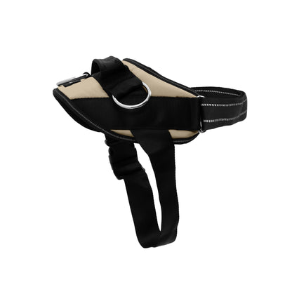 No-Pull Padded Dog Harness with 3 Leash Clips