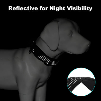 Tactical Dog Collar with AirTag Pocket
