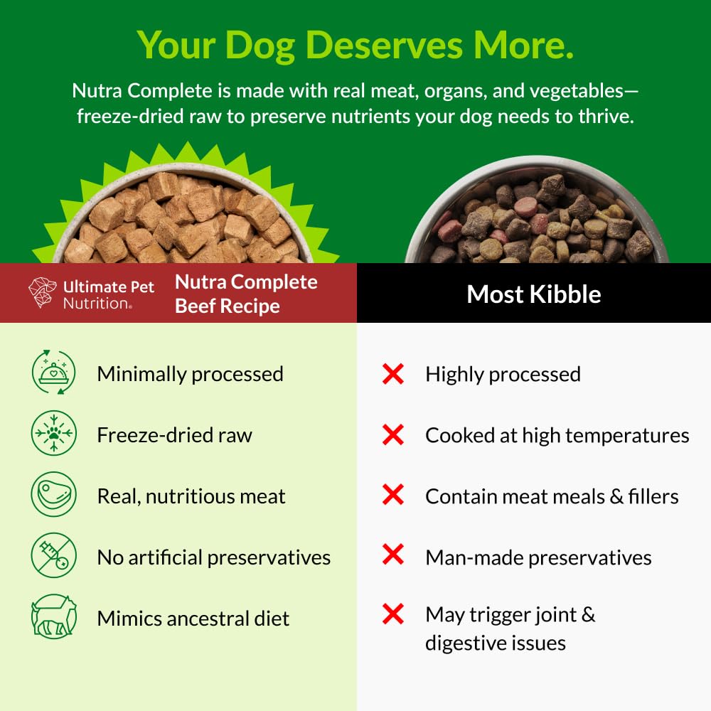Freeze-Dried Raw Dog Food with Prebiotics