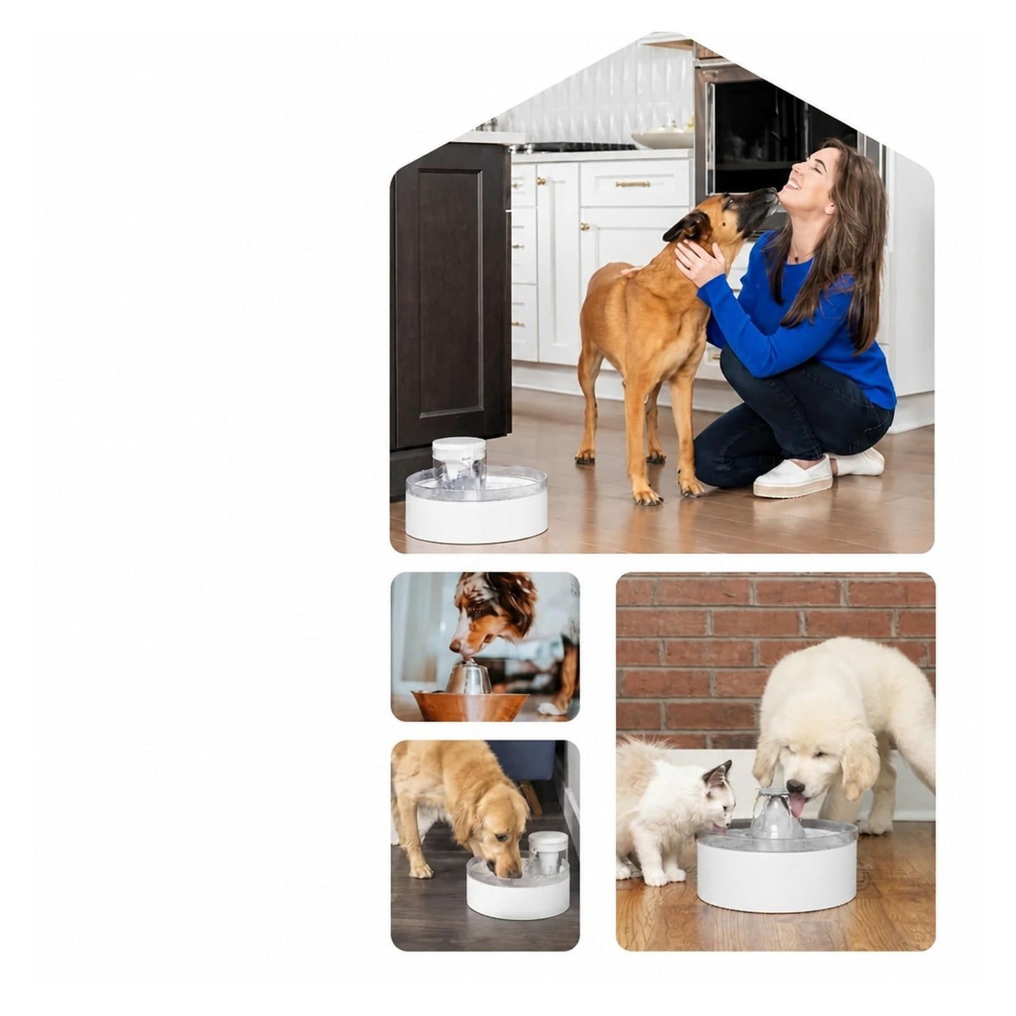 Pumpless 128 oz Pet Water Fountain for Dogs & Cats