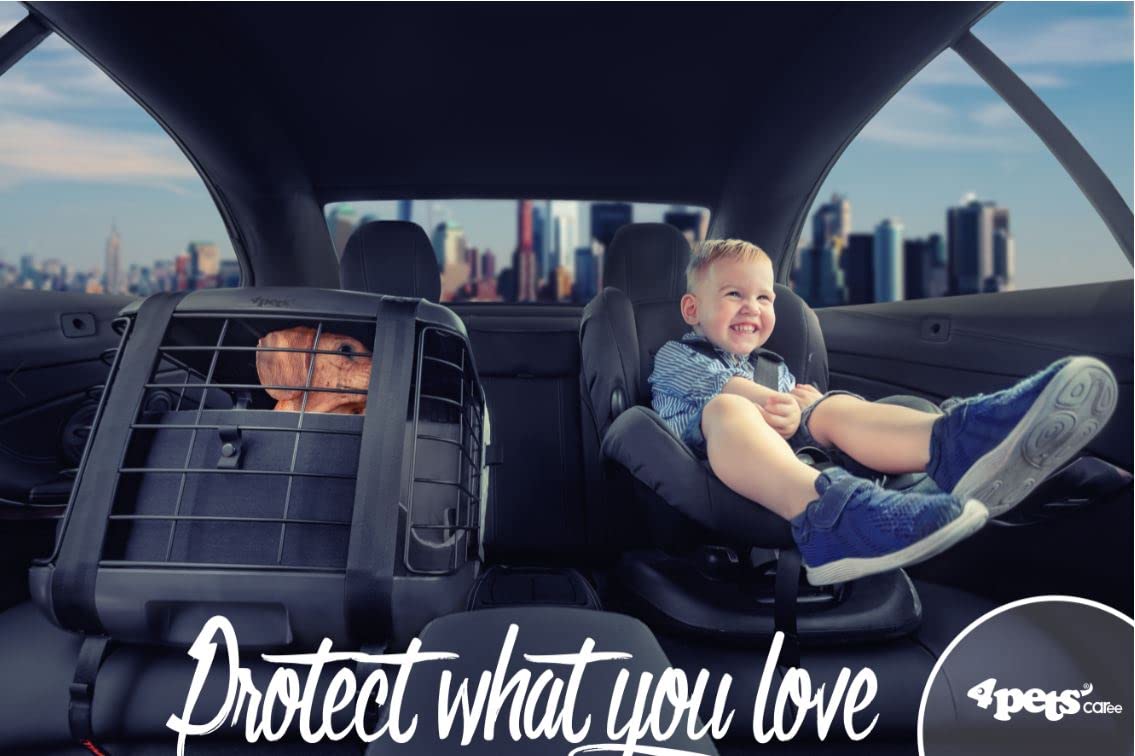 Crash-Tested Pet Car Seat Carrier with Cushion