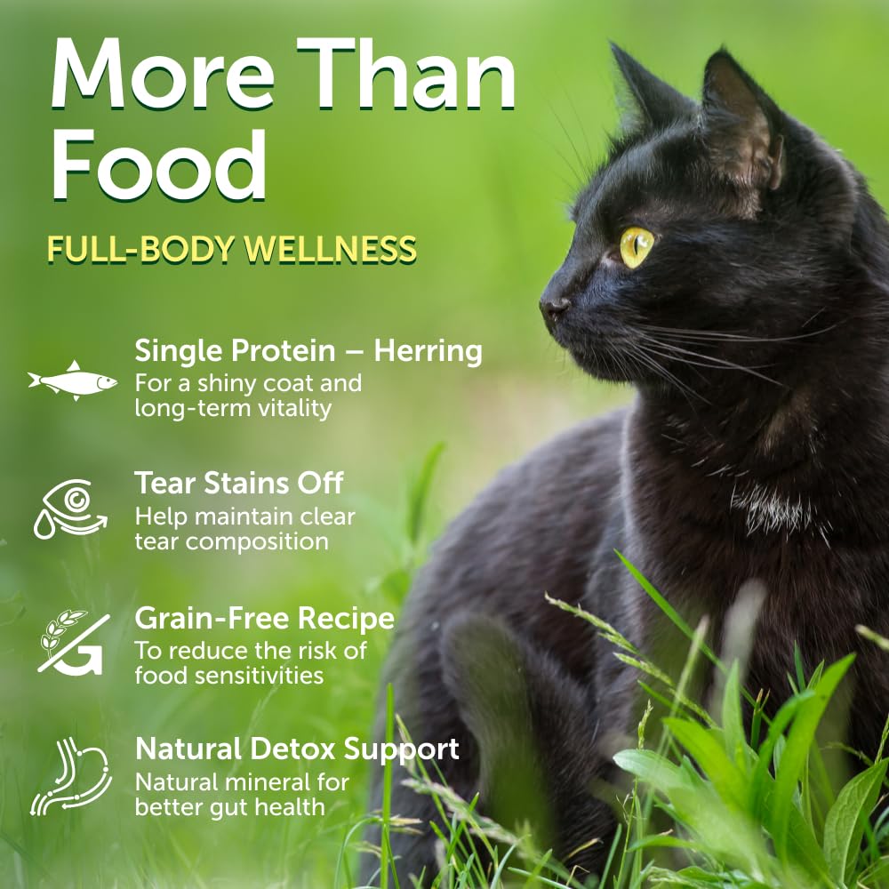 Grain-Free Dry Cat Food with Herring