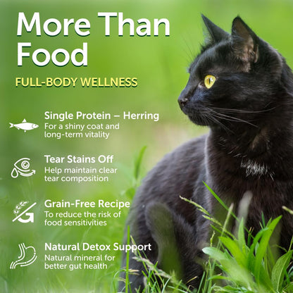 Grain-Free Dry Cat Food with Herring