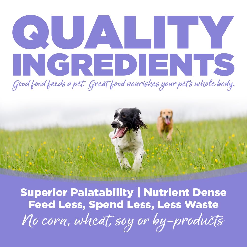NutriSource Choice Chicken Meal & Barley Puppy Food