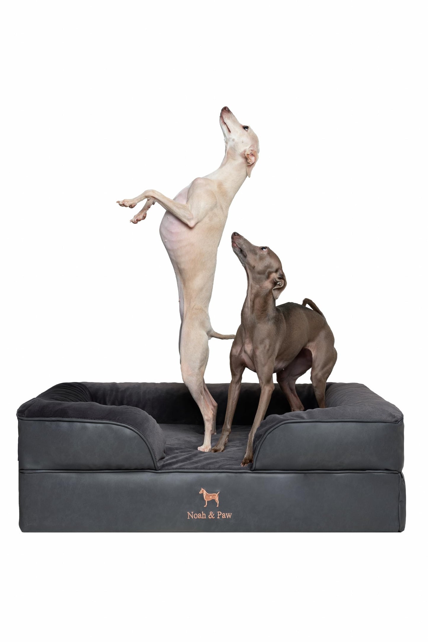 Cooling Memory Foam Orthopedic Pet Bed