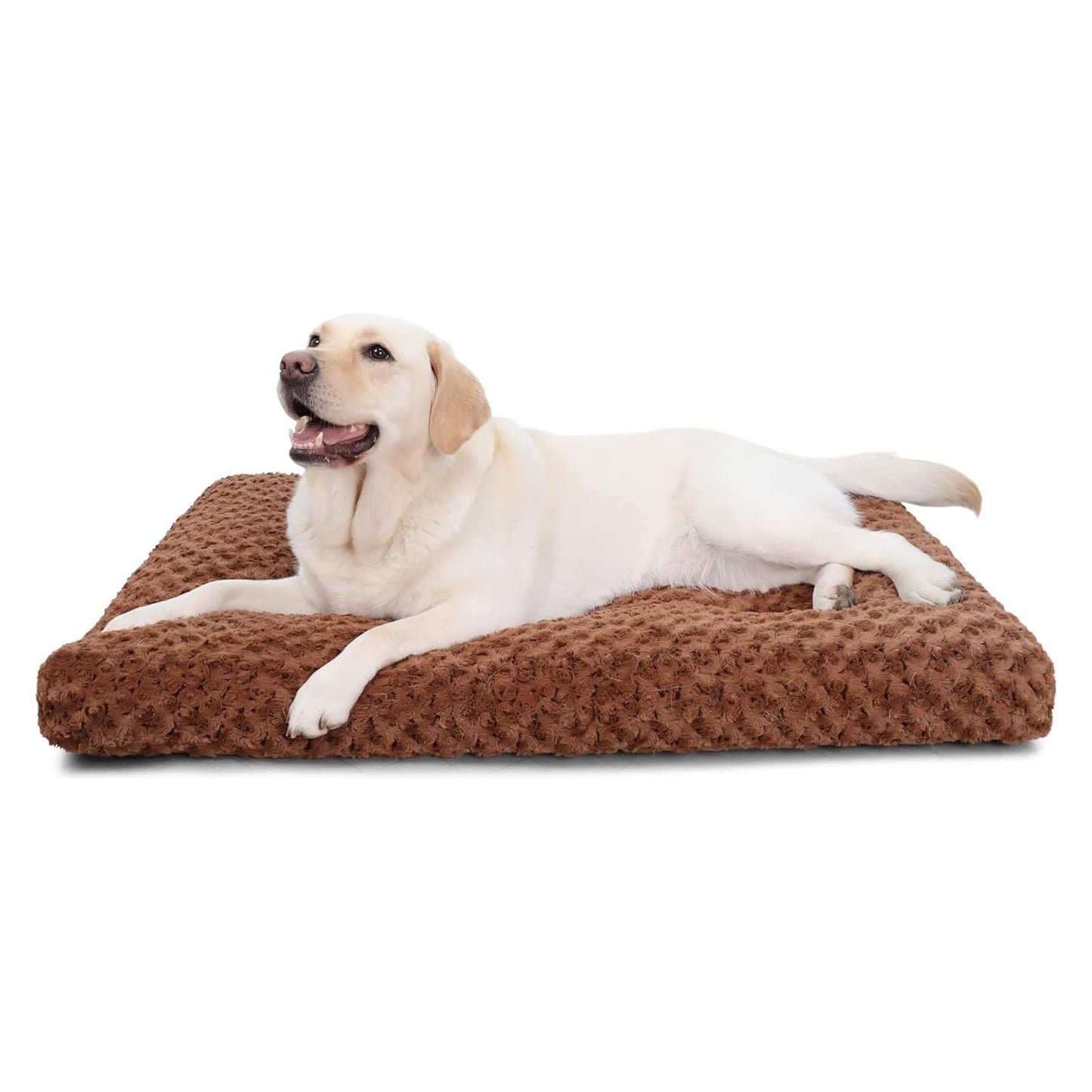 Washable Plush Dog Crate Bed & Pet Mat