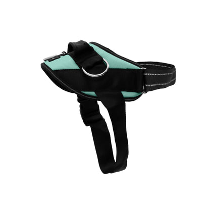 No-Pull Padded Dog Harness with 3 Leash Clips