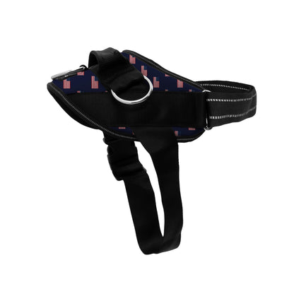 No-Pull Padded Dog Harness with 3 Leash Clips