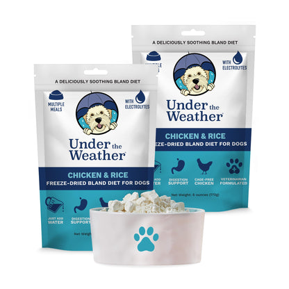 Easy-Digest Bland Diet Dog Food with Electrolytes