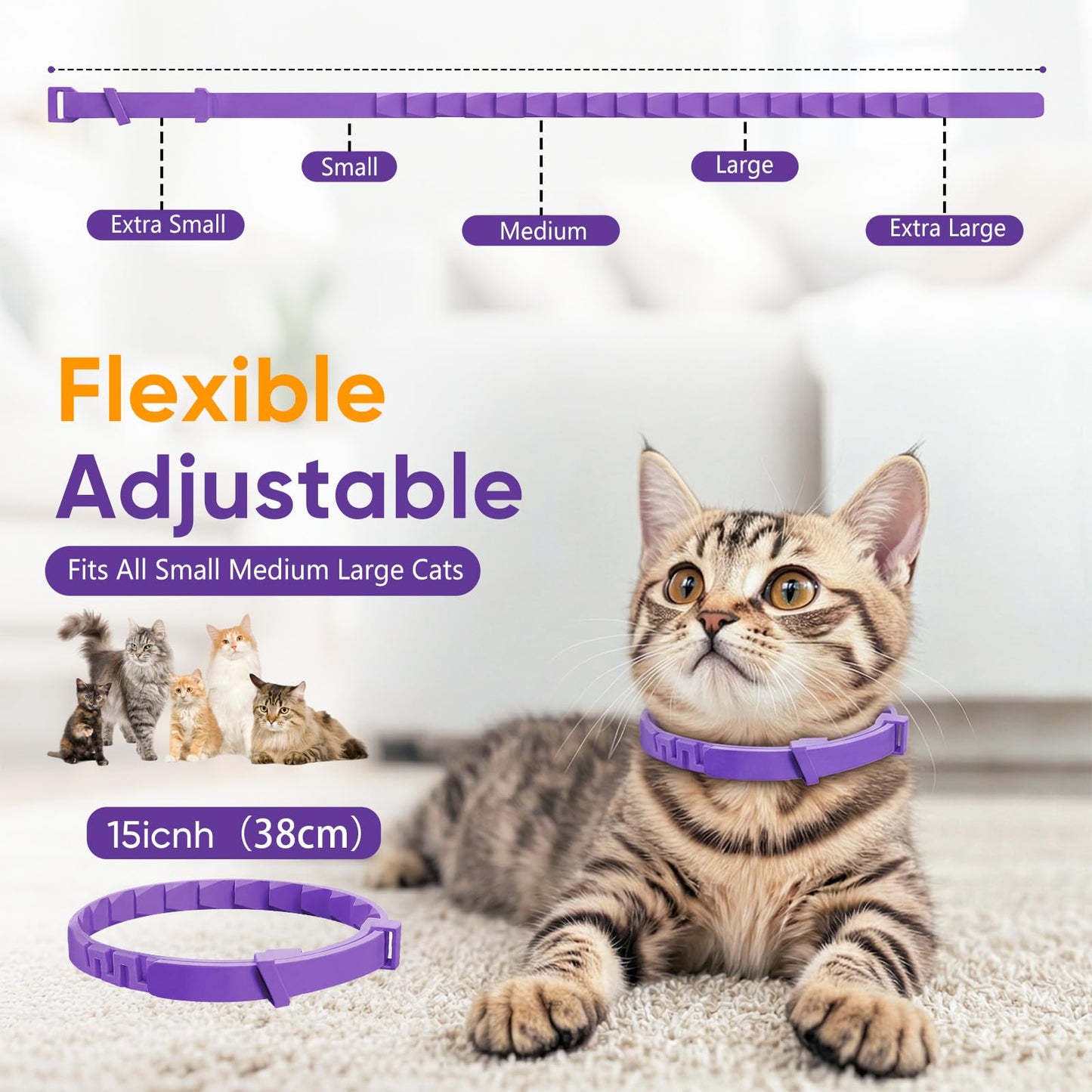 Calming Cat Collar with Long-Lasting Pheromones