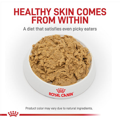 Hydrolyzed Protein Adult Wet Dog Food Loaf