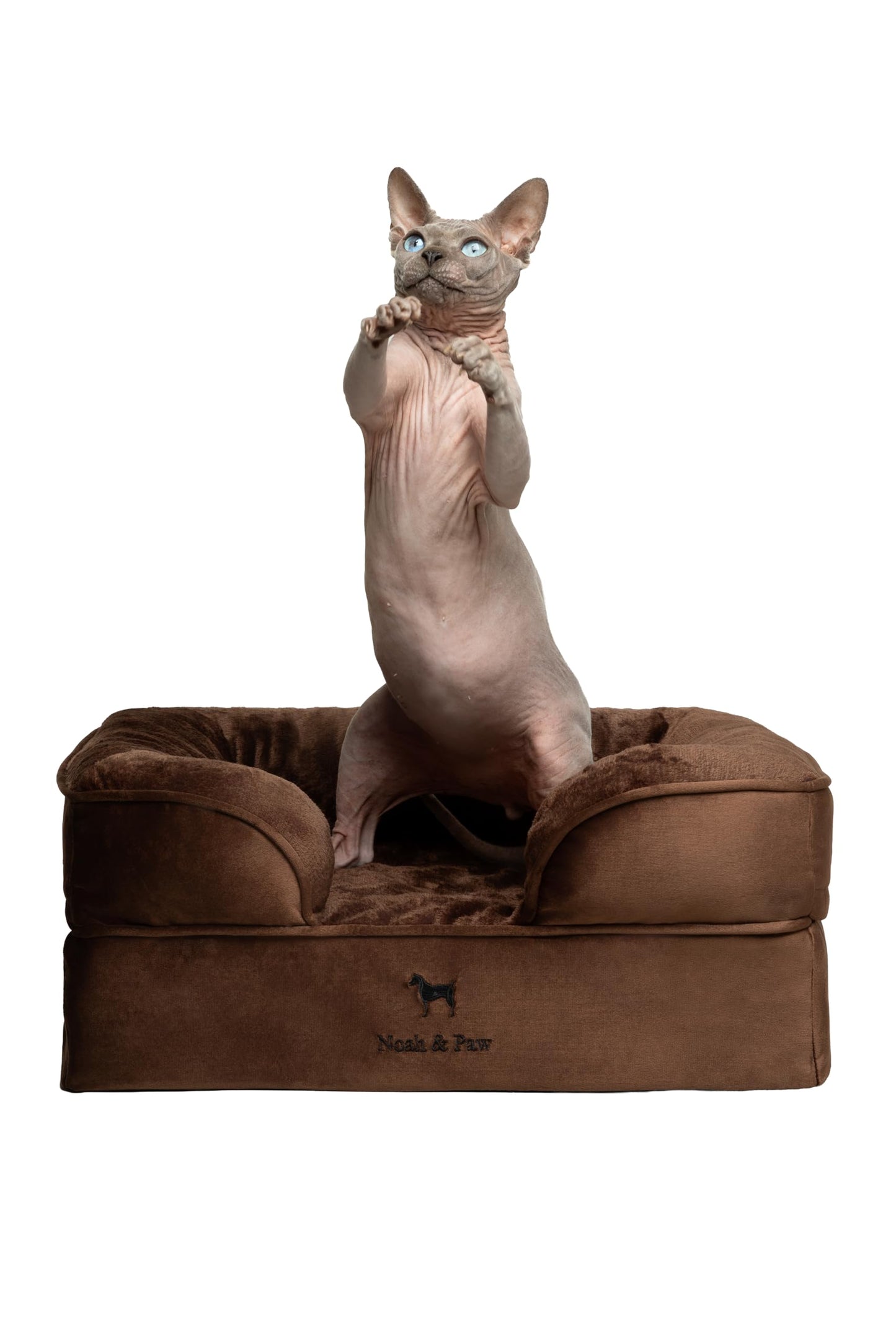 Cooling Memory Foam Orthopedic Pet Bed