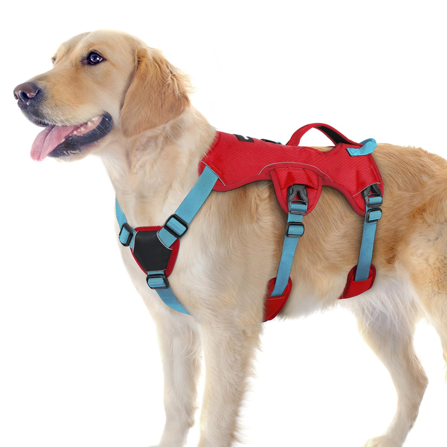 No-Pull Dog Harness with Lift Handle