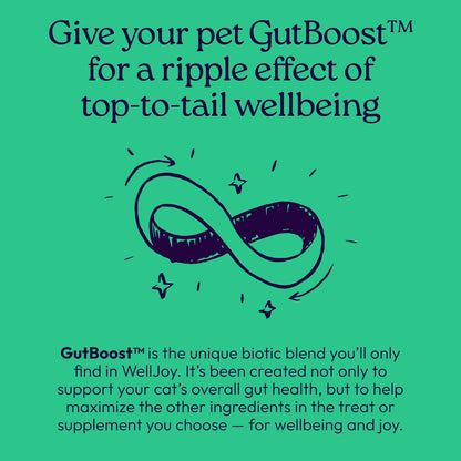Chicken Cat Treats for Skin, Coat & Gut Health