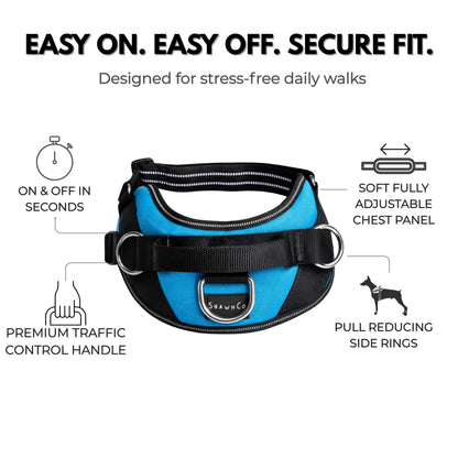 No-Pull Padded Dog Harness with 3 Leash Clips