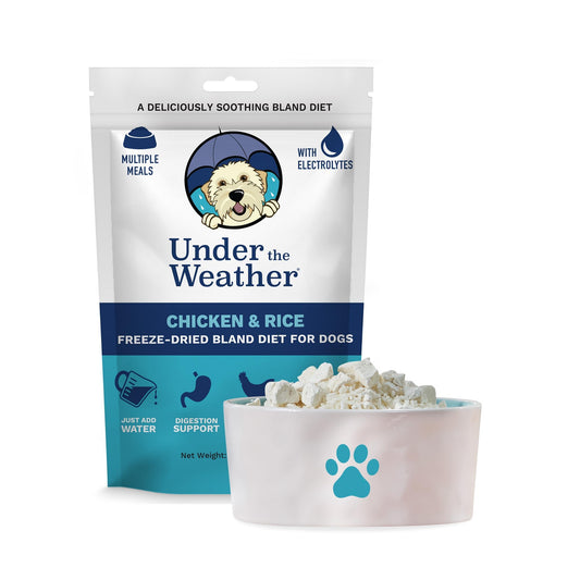 Easy-Digest Bland Diet Dog Food with Electrolytes