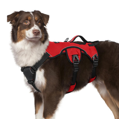No-Pull Dog Harness with Lift Handle