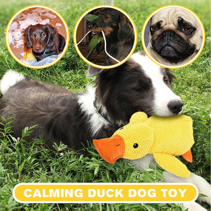 Squeaky Plush Duck Dog Toy with Built-In Sound