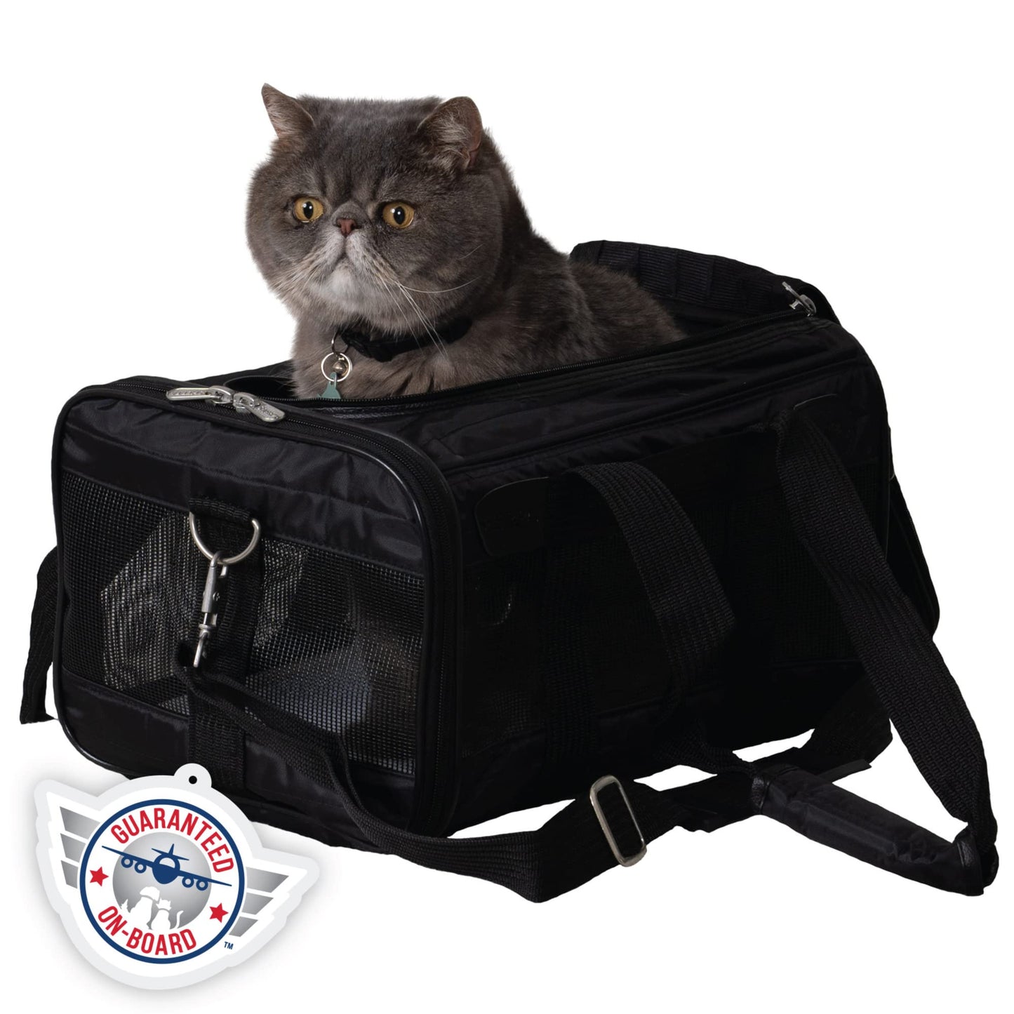 Airline-Approved Soft-Sided Pet Travel Carrier