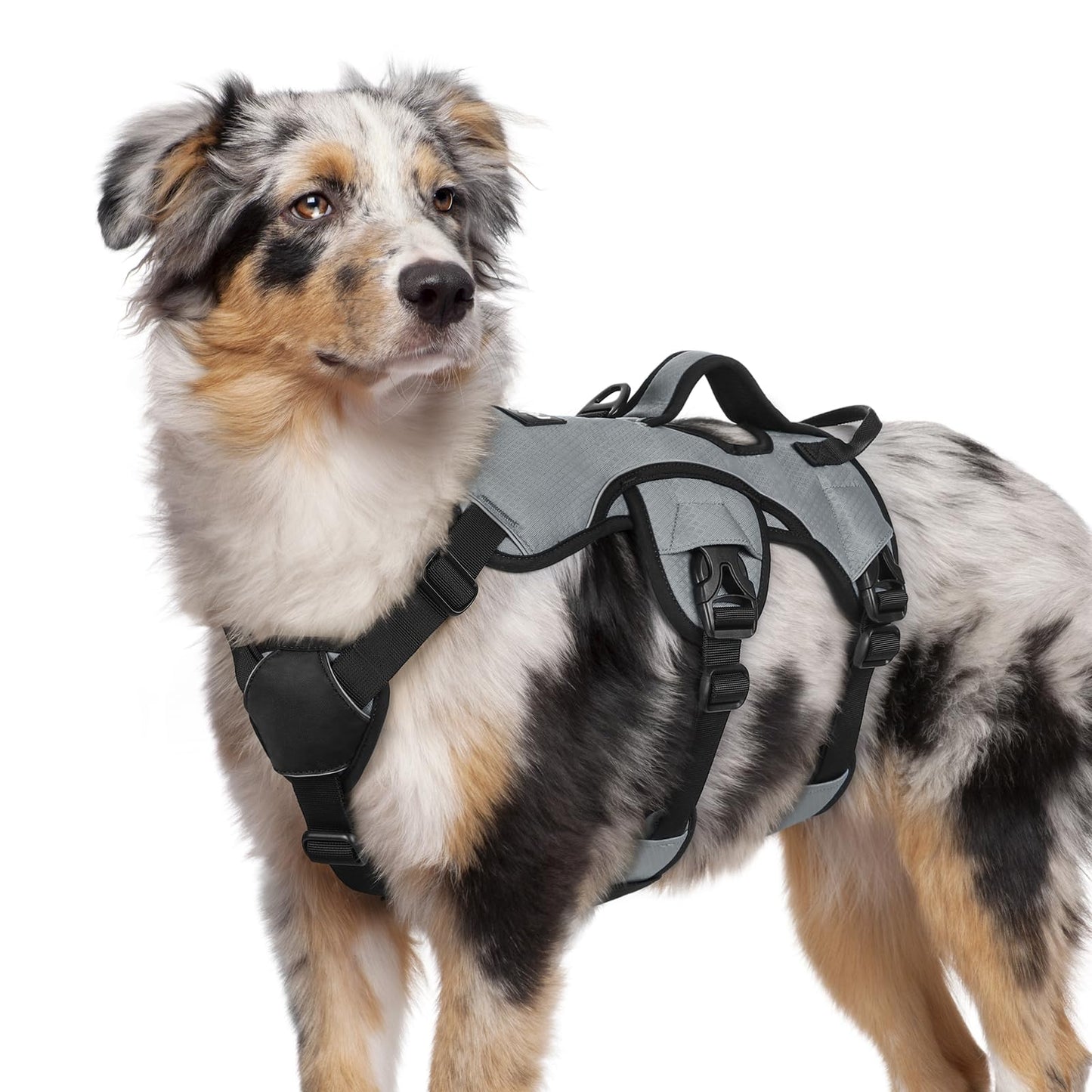 No-Pull Dog Harness with Lift Handle