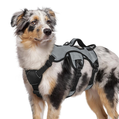 No-Pull Dog Harness with Lift Handle