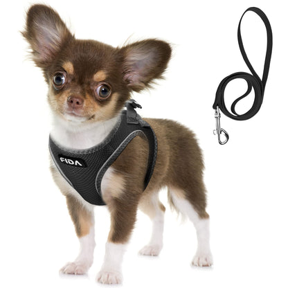 Breathable Dog Harness & Leash Set