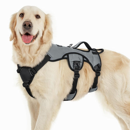 No-Pull Dog Harness with Lift Handle