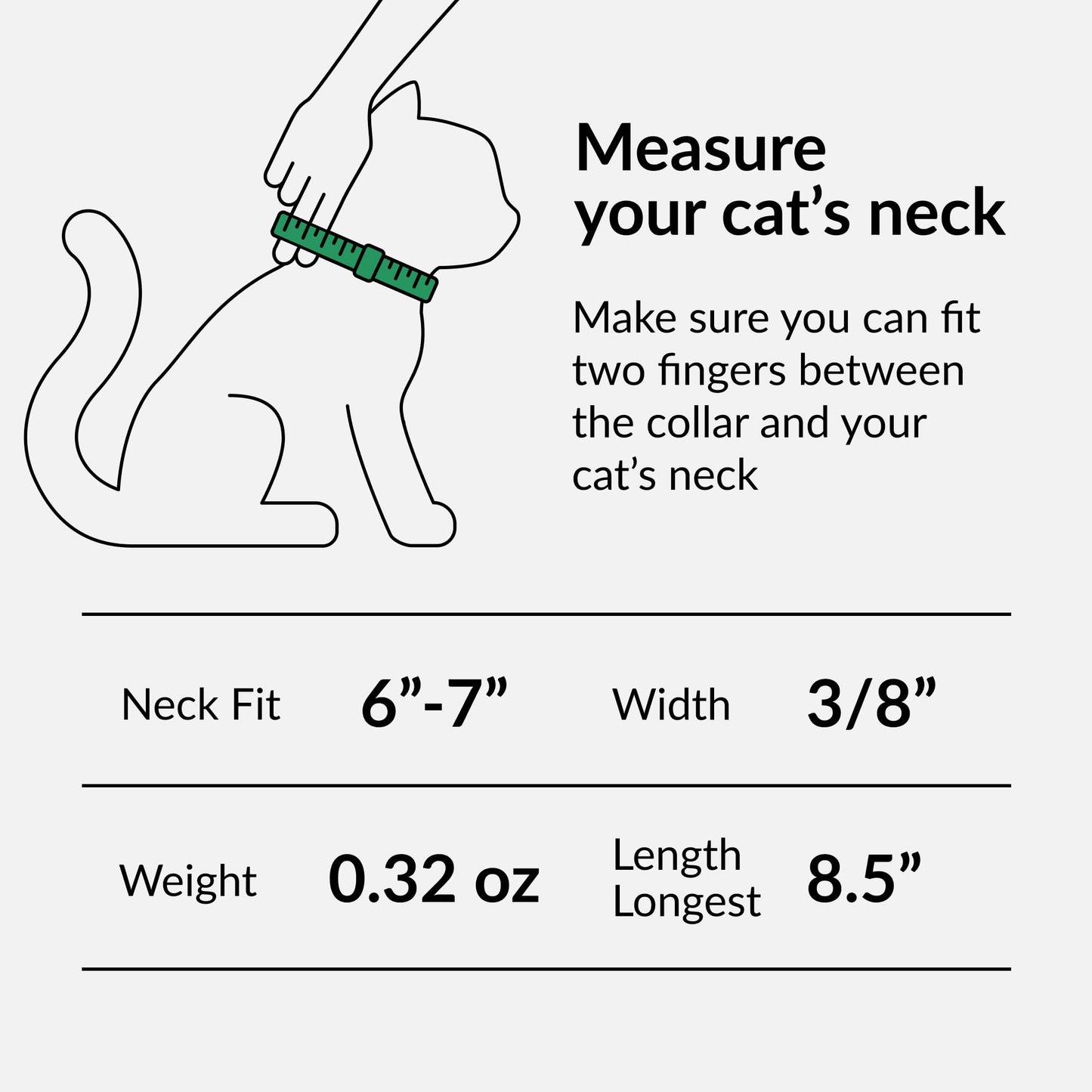Leather Cat Collar with Bell