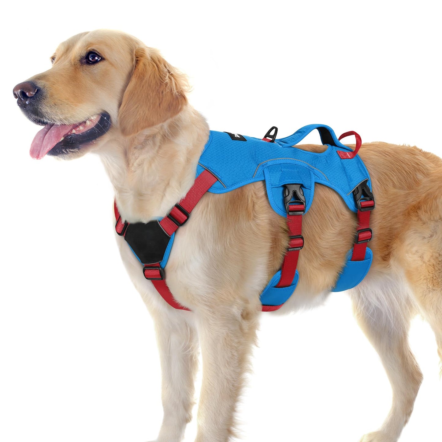 No-Pull Dog Harness with Lift Handle