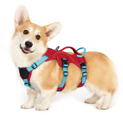 No-Pull Dog Harness with Lift Handle