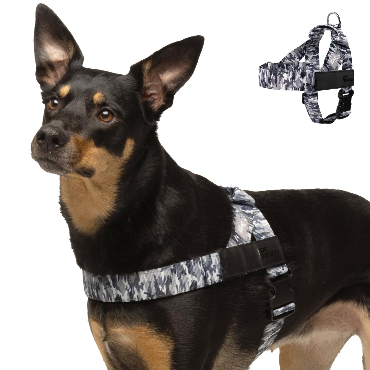 Comfort-Fit Everyday Dog Harness