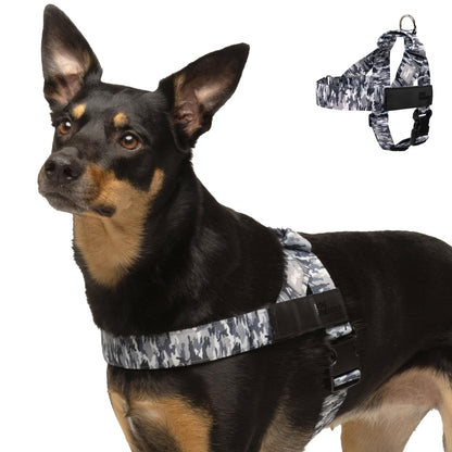 Comfort-Fit Everyday Dog Harness
