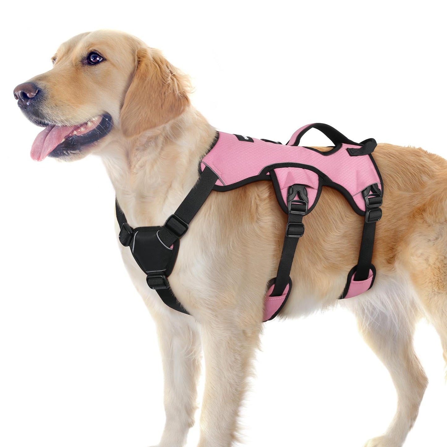 No-Pull Dog Harness with Lift Handle