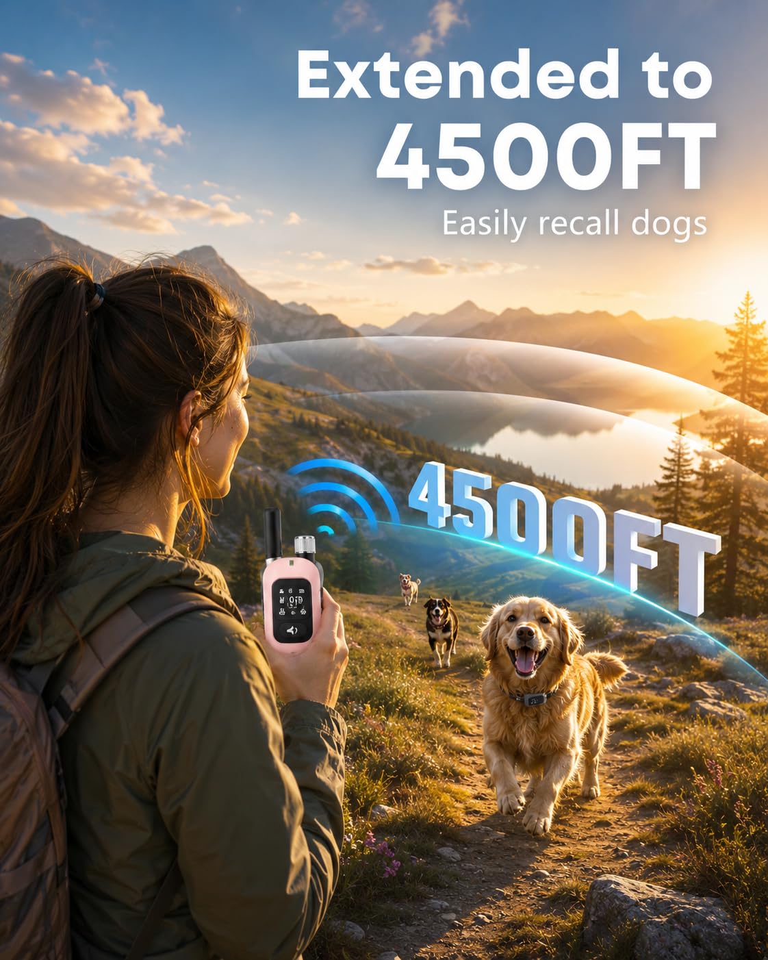 2-in-1 Dog Training & Anti-Bark Collar with Remote