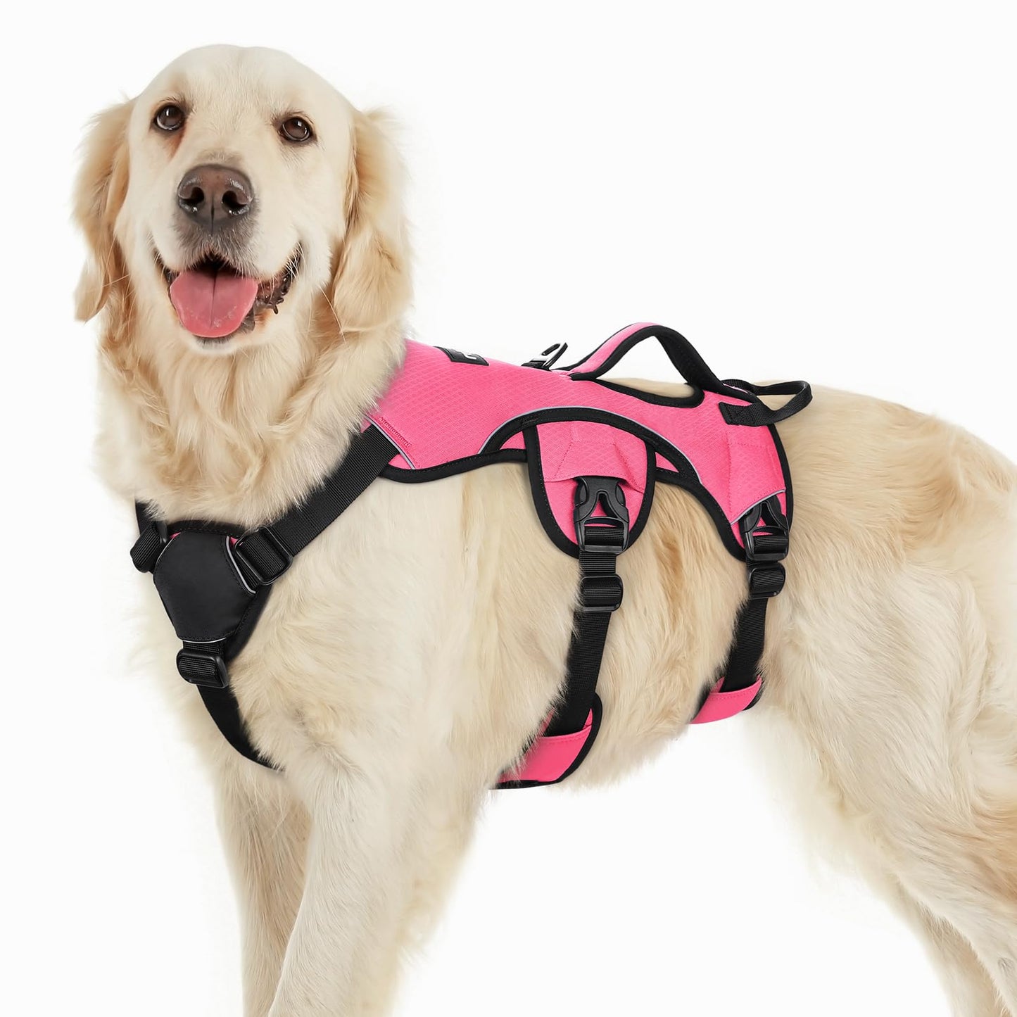 No-Pull Dog Harness with Lift Handle