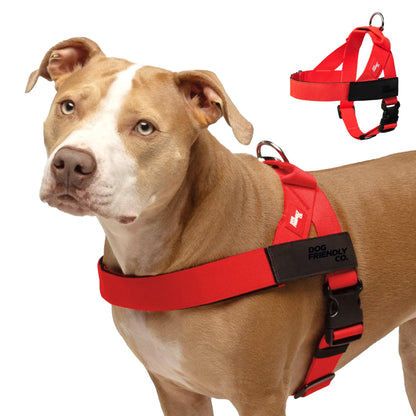 Comfort-Fit Everyday Dog Harness
