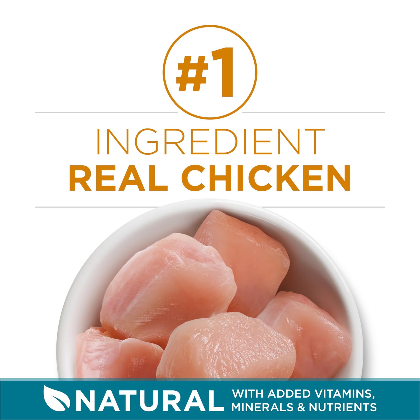 Natural Dry Cat Food with Real Chicken