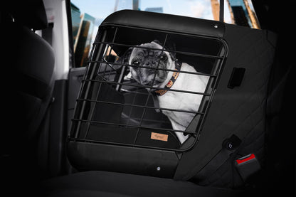 Crash-Tested Pet Car Seat Carrier with Cushion