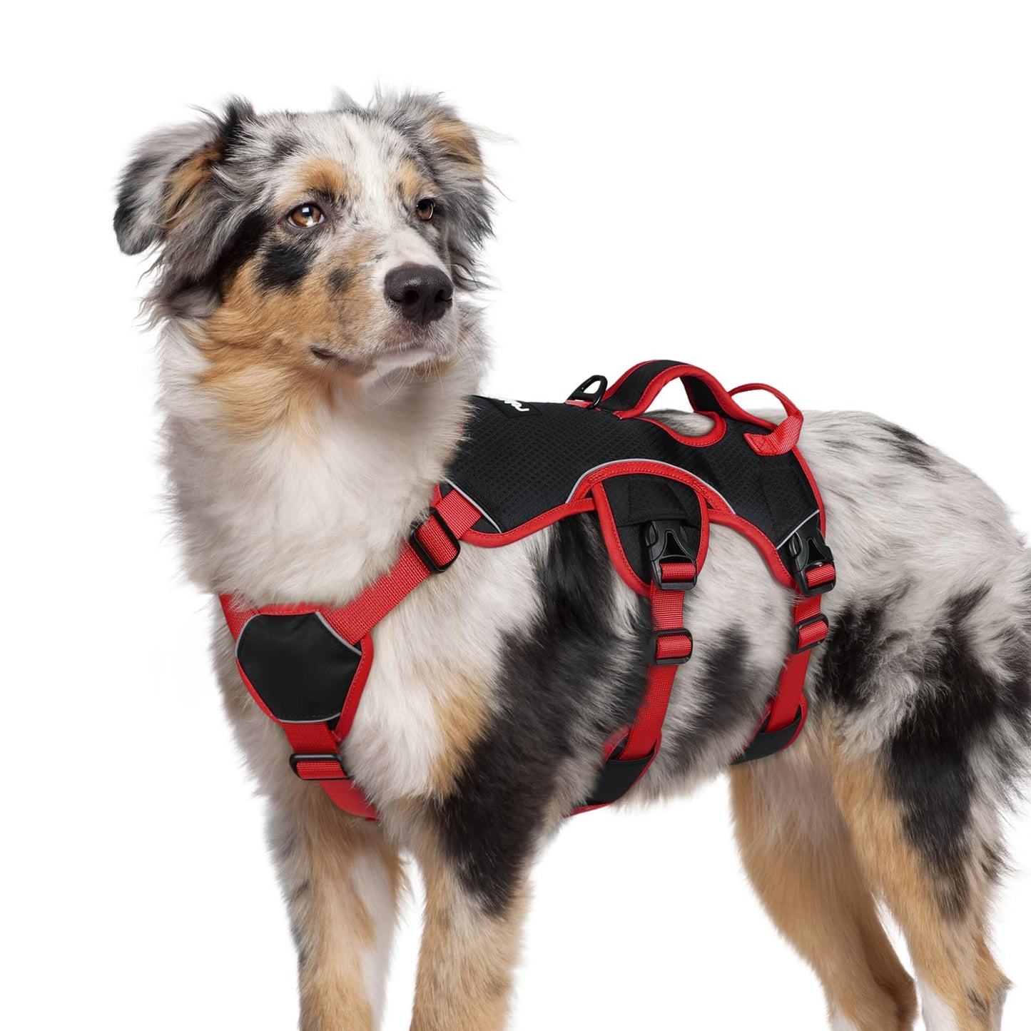 No-Pull Dog Harness with Lift Handle