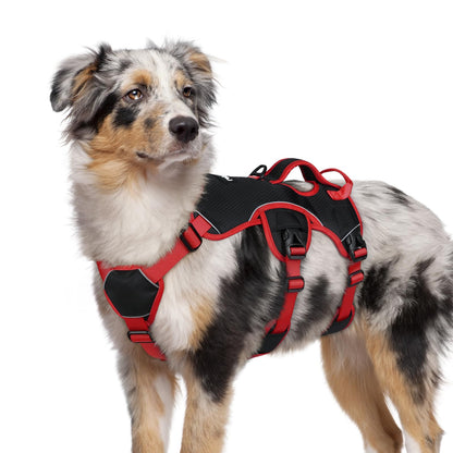 No-Pull Dog Harness with Lift Handle