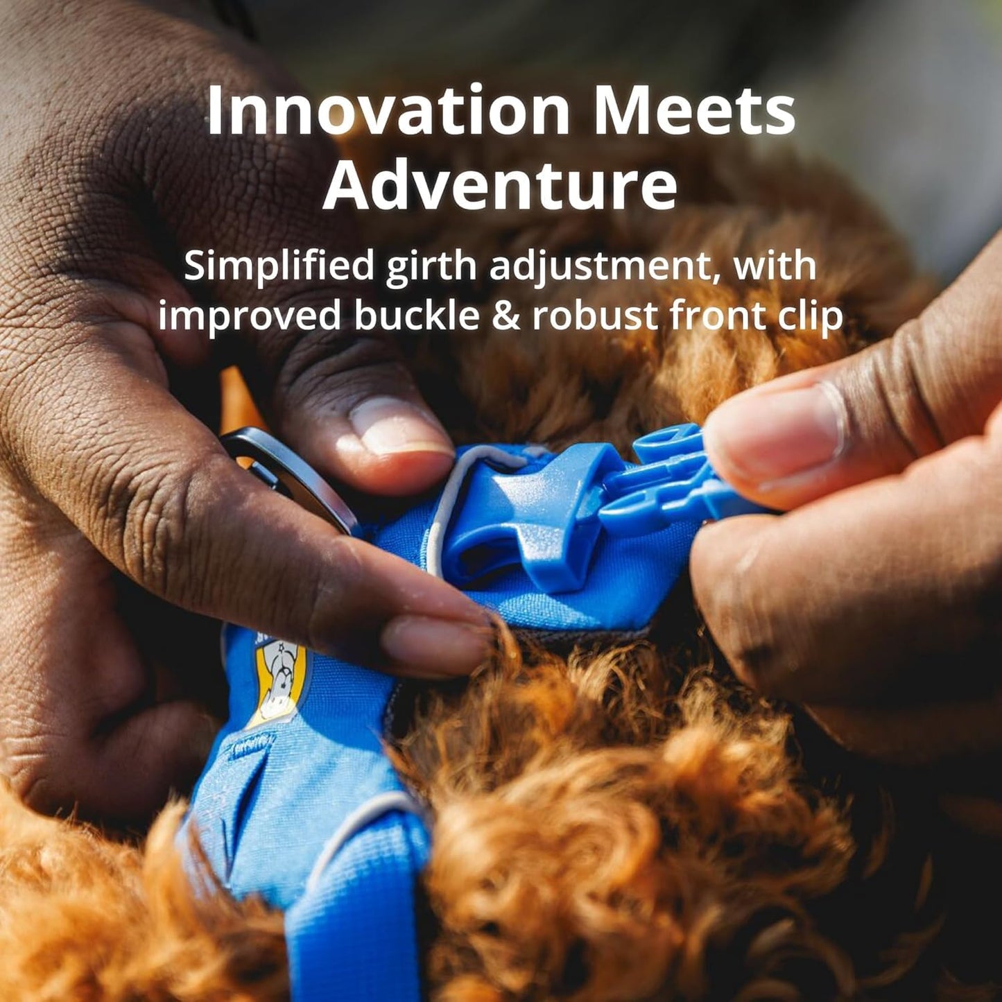 Front Range Padded Dog Harness