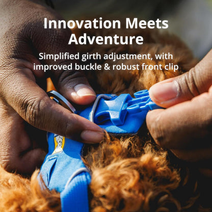 Front Range Padded Dog Harness