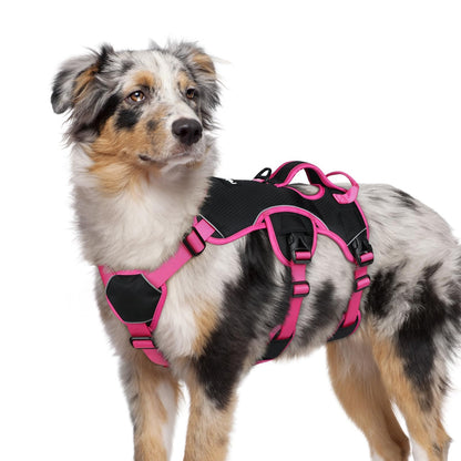 No-Pull Dog Harness with Lift Handle