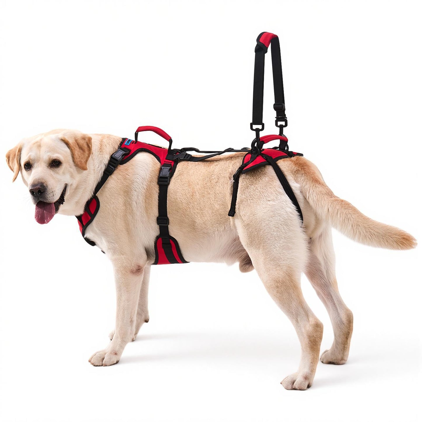 Full-Body Dog Lift Harness for Senior Dogs